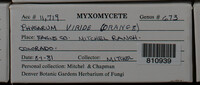 Image Associated With the Occurence